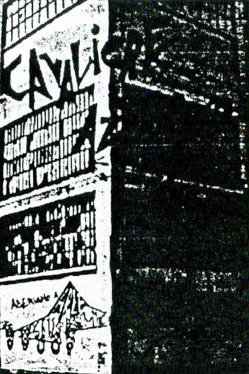 cavaliere azzurro fanzine