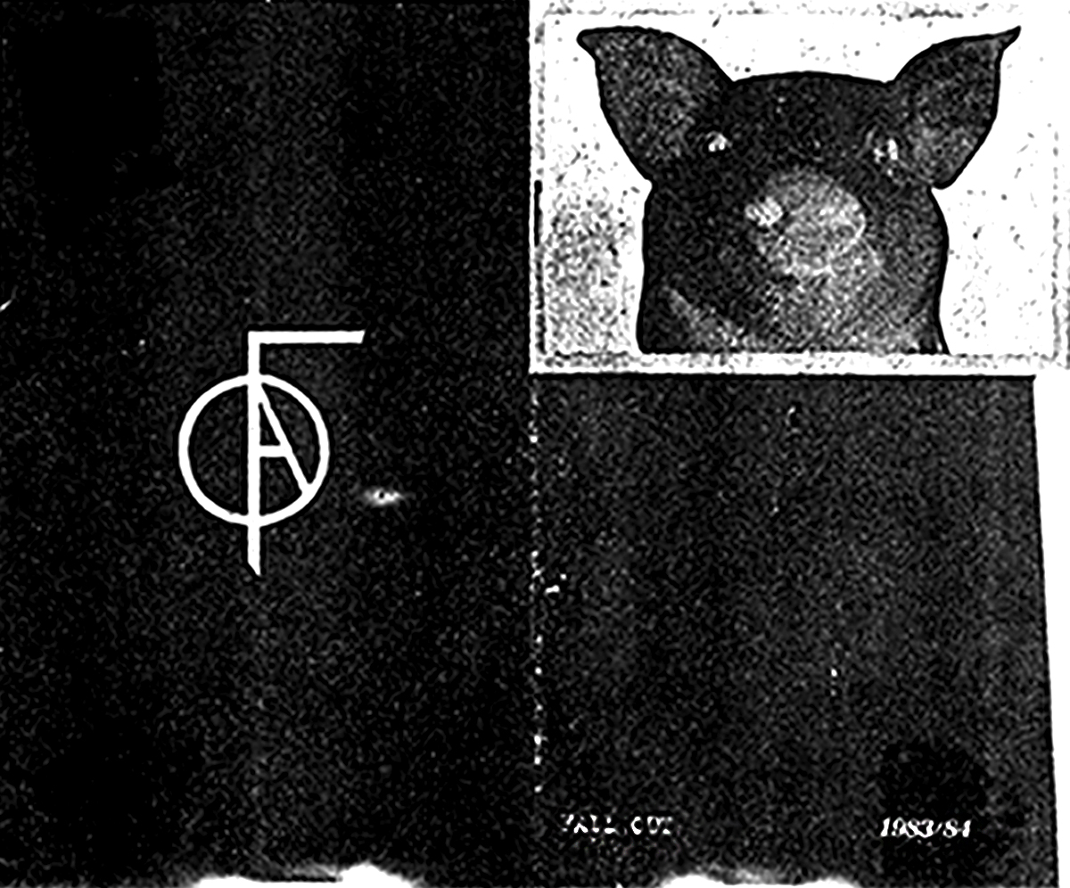 fall out punkzine fanzine