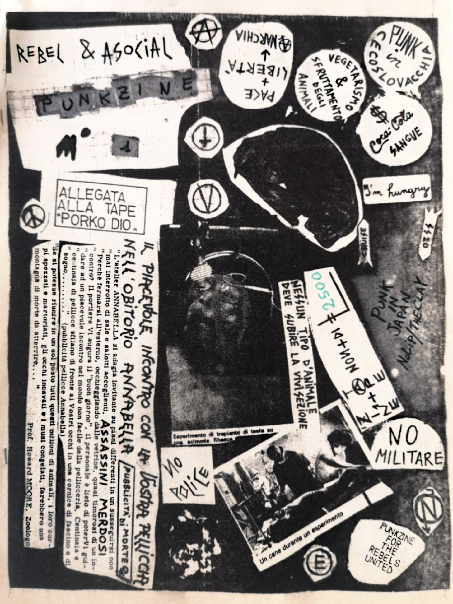 rebel and asocial fanzine