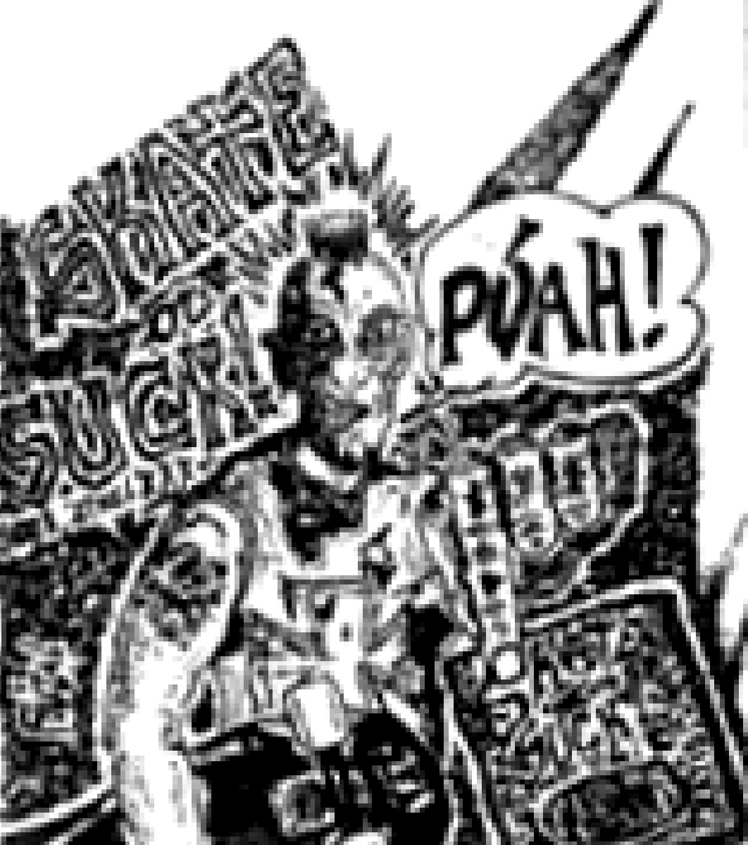 skate or suck! fanzine
