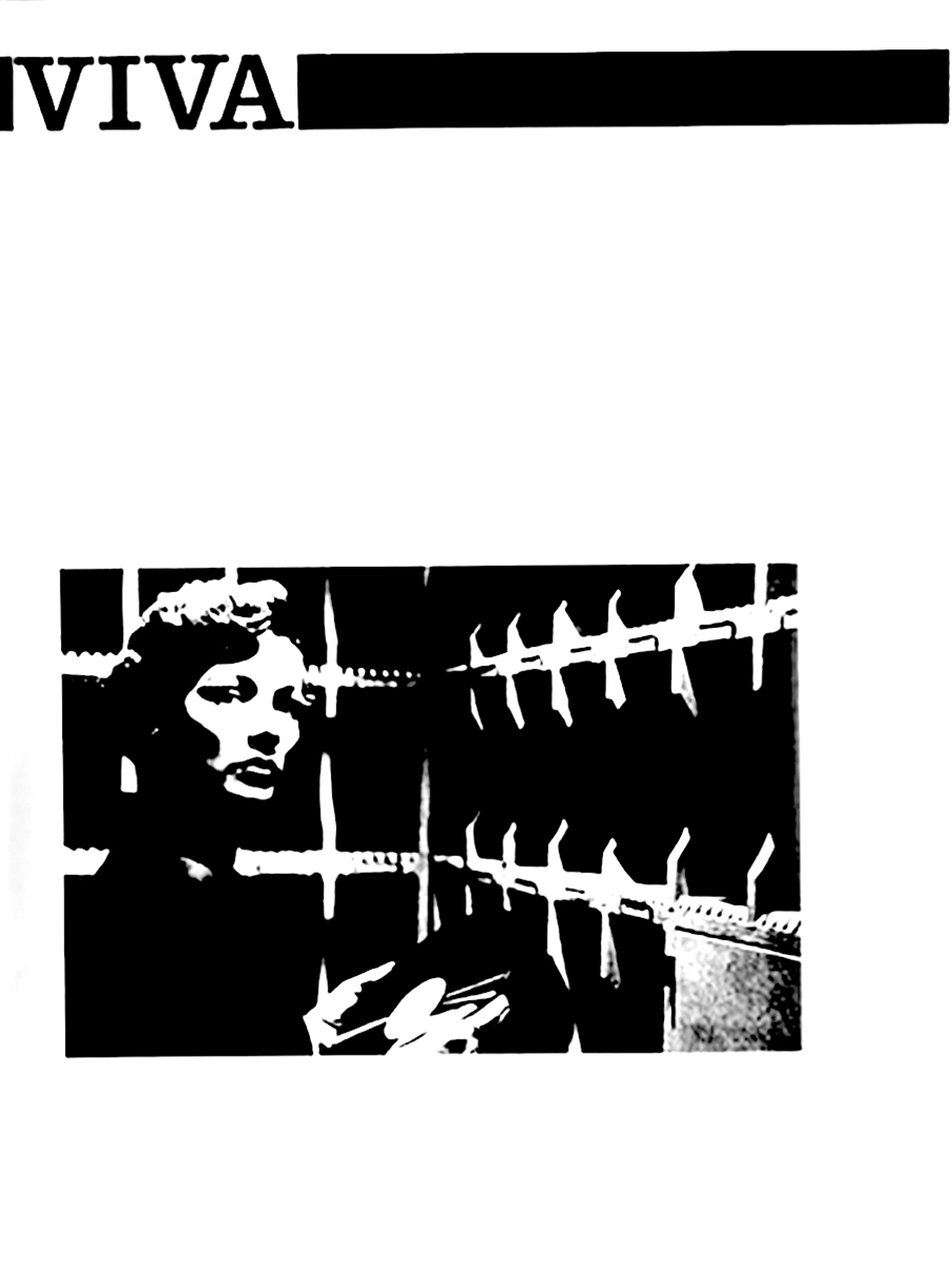 viva fanzine
